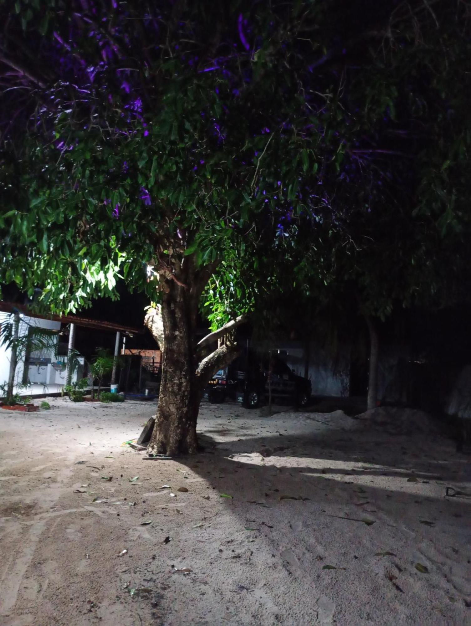 Hostel E Camping Na Rua Das Flores Santo Amaro do Maranhao Eksteriør billede
