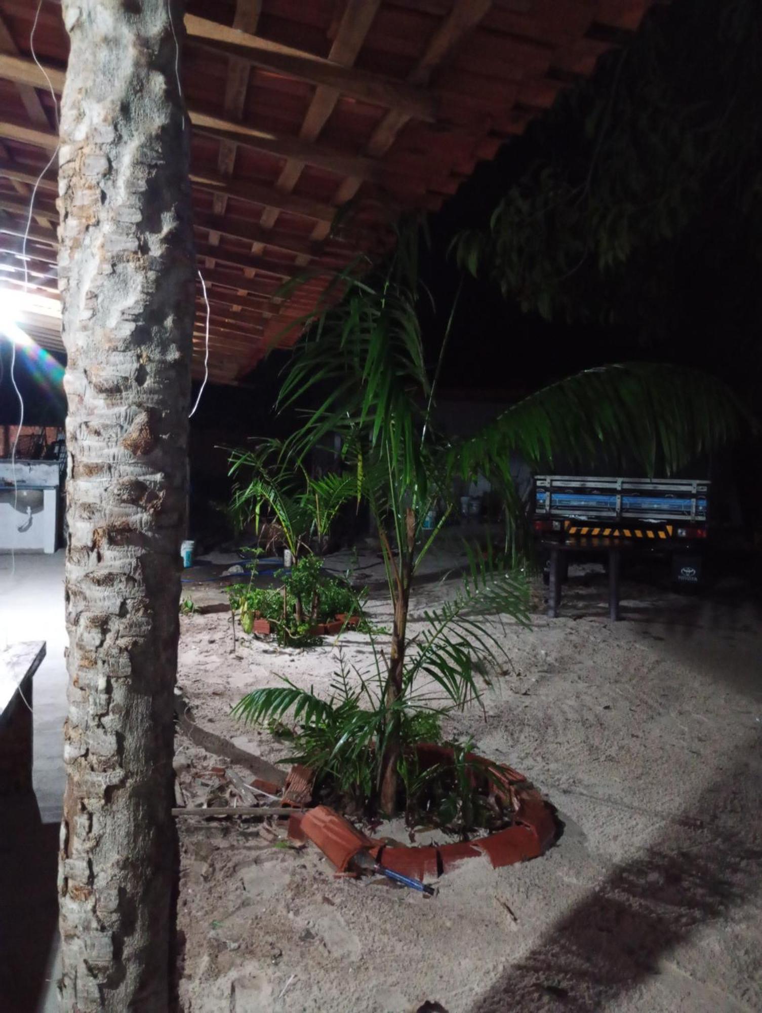 Hostel E Camping Na Rua Das Flores Santo Amaro do Maranhao Eksteriør billede