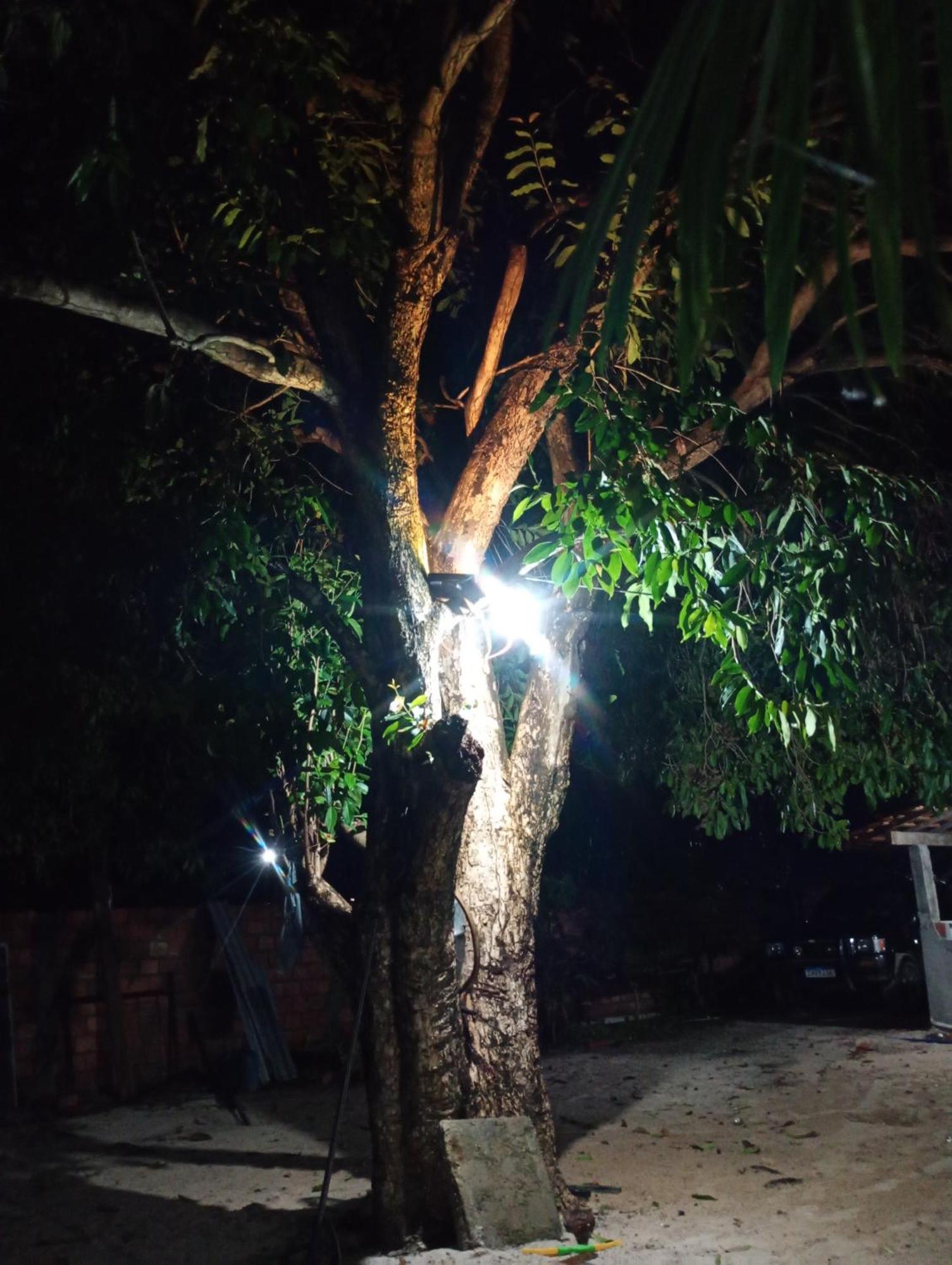 Hostel E Camping Na Rua Das Flores Santo Amaro do Maranhao Eksteriør billede