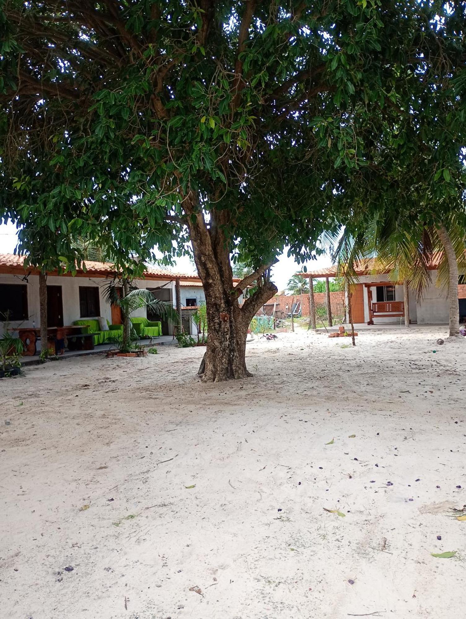 Hostel E Camping Na Rua Das Flores Santo Amaro do Maranhao Eksteriør billede