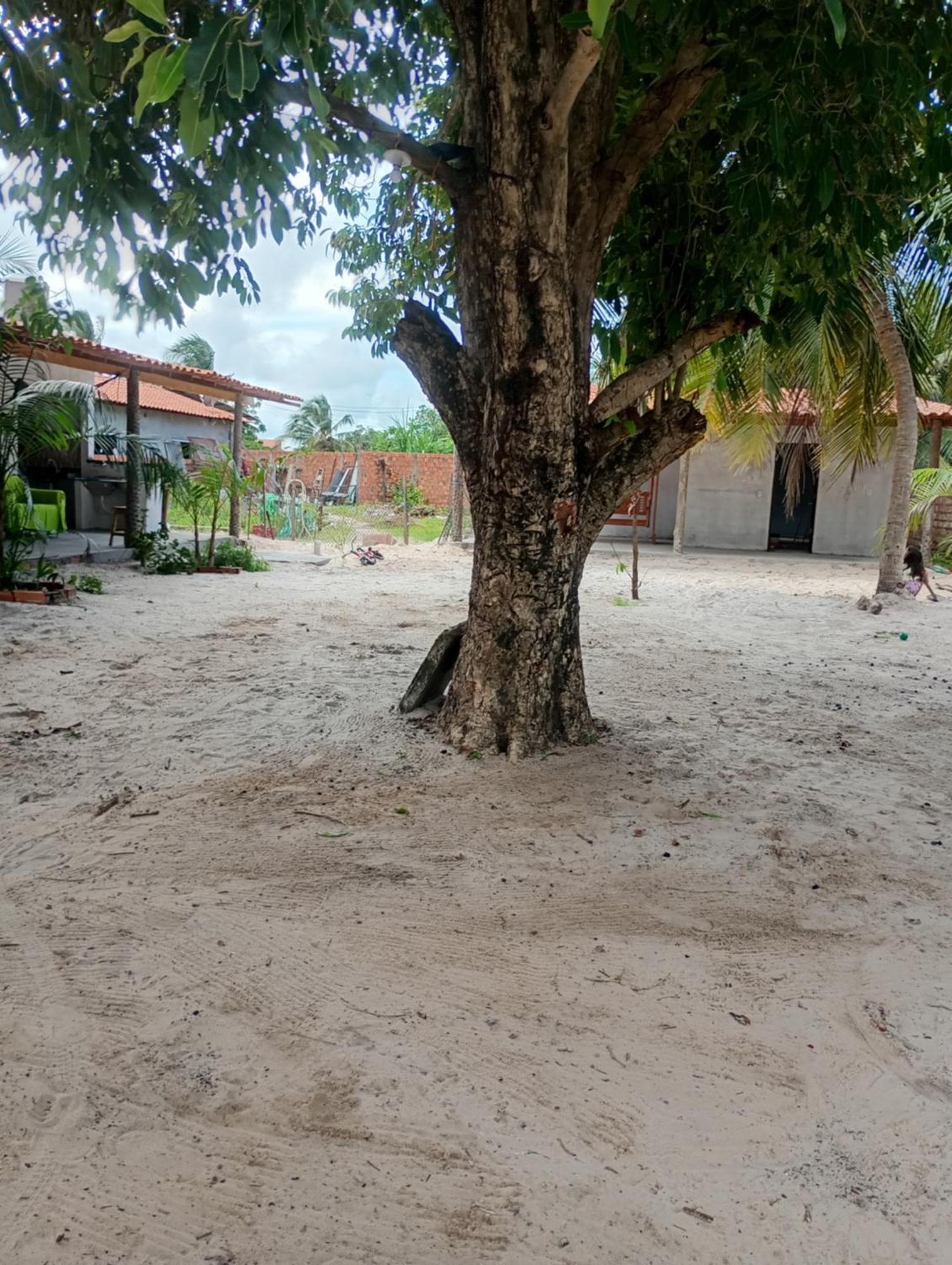 Hostel E Camping Na Rua Das Flores Santo Amaro do Maranhao Eksteriør billede